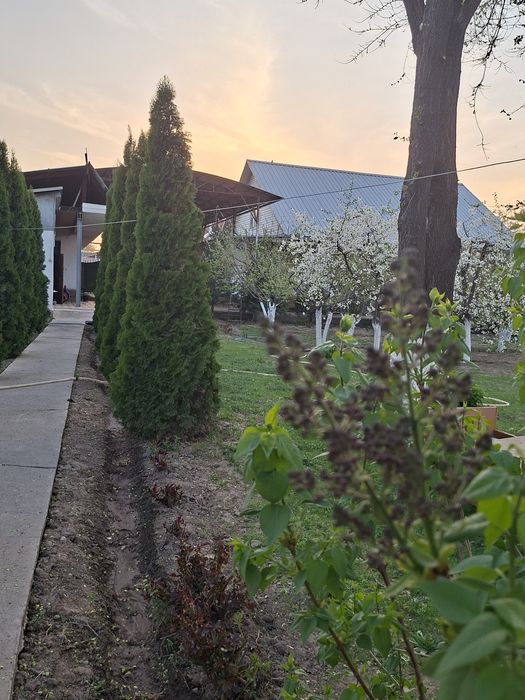 Продам дом в селе Байтерек Алексеевка