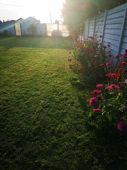 Teren Corbeanca si casuta lemn