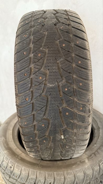 Буу щины 225/55R17