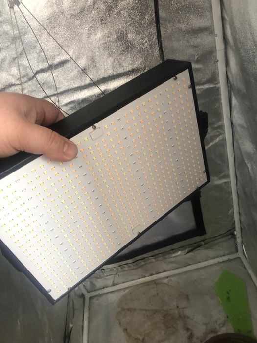 Гроубокс/гроутент