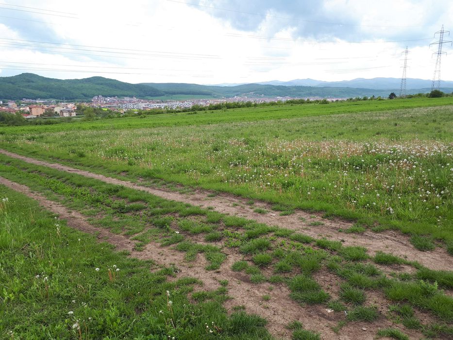 Teren 1000 mp capat Grigorescu -  75 eur/ mp