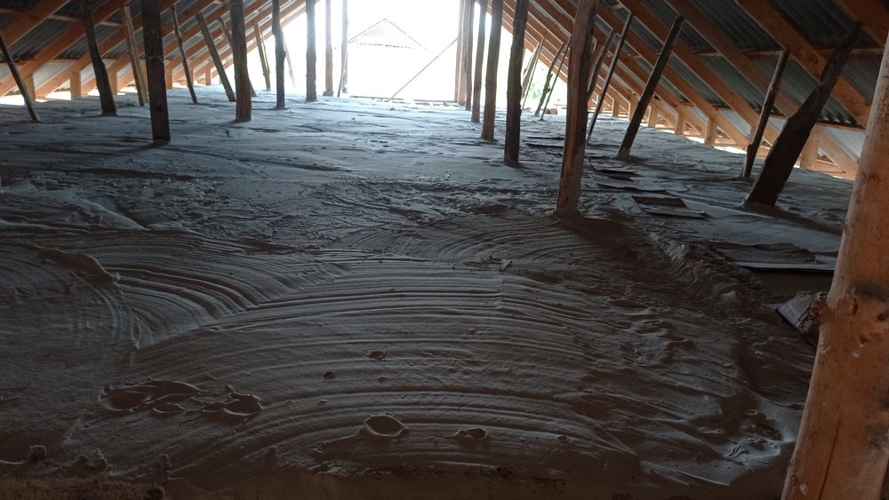 Pena lomboz(tomga pena quyish) xizmati