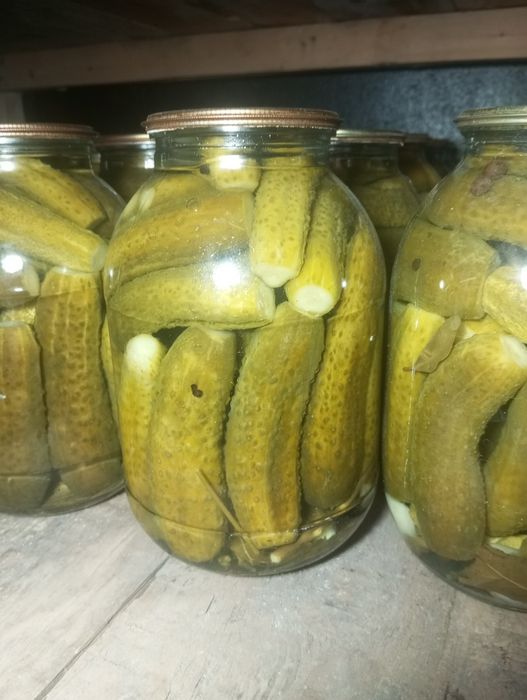 Соленья домашнее