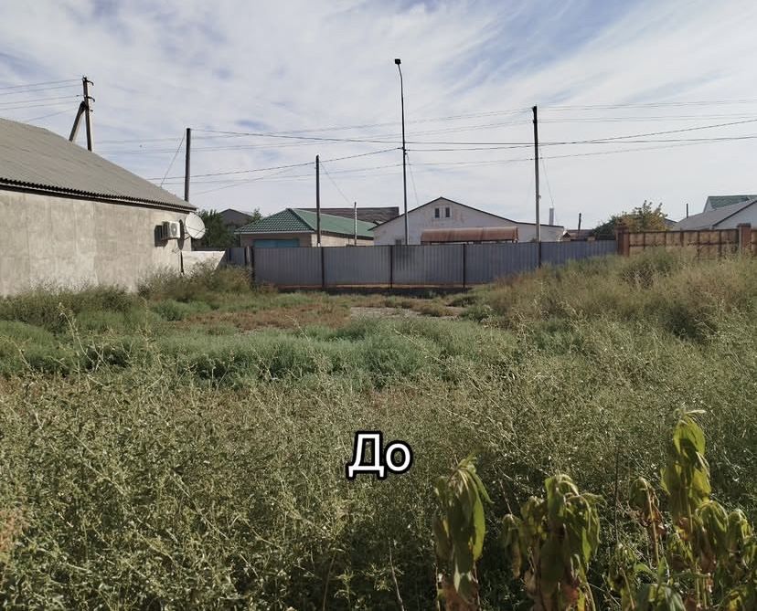 Аула тазалығы, уборка территории. Покос травы