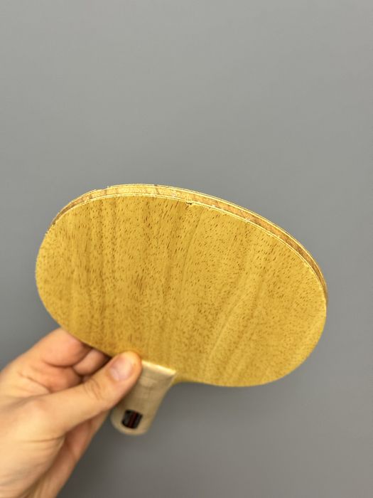 Lemne Dr Neubauer  - Donic