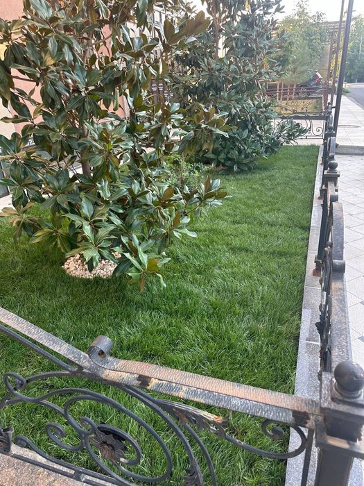 Газон таййор рулон полив установка