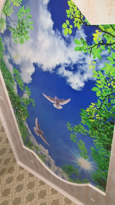 Натяжные потолки