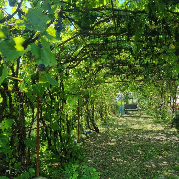 Vand Casa P+M in comuna Rachiti