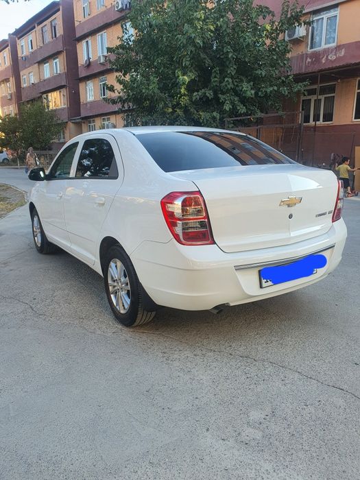 KOBALT MSM 2025 GA 2026 YILI gazi prapan tabletka 12 ming yurgan