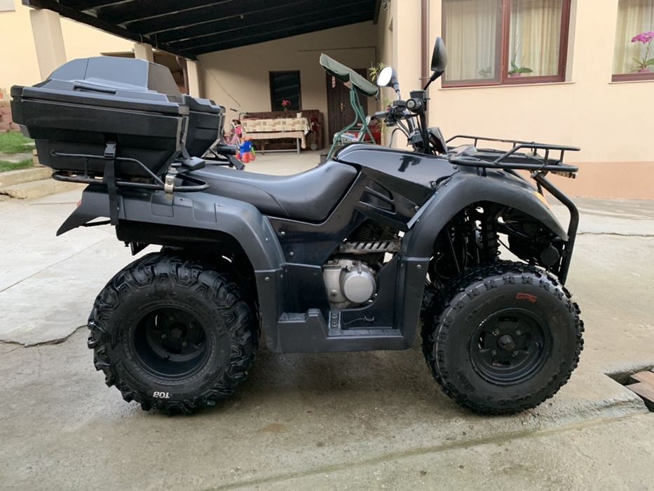Atv Wild Cat 250