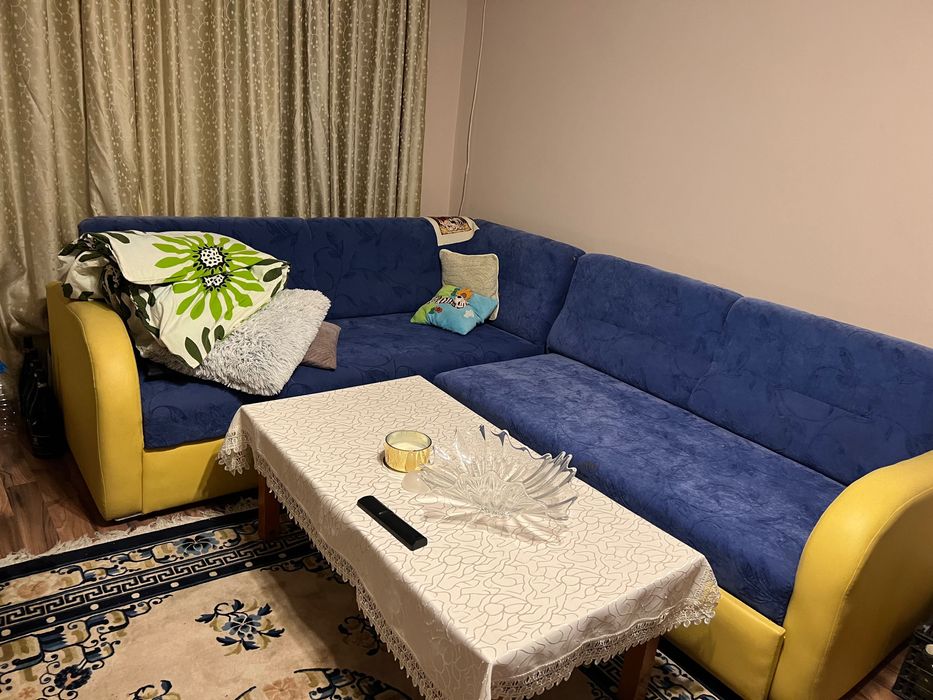 Гарнитура + лежанка велур