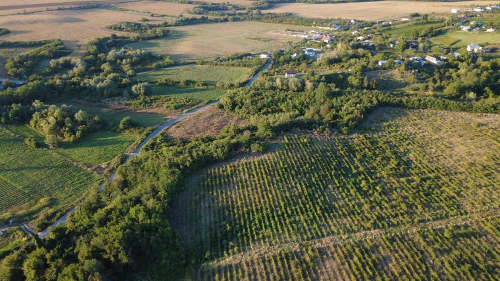 Vand teren,comuna Bucov, sat Chitorani, jud. Prahova, 5.62  ha.