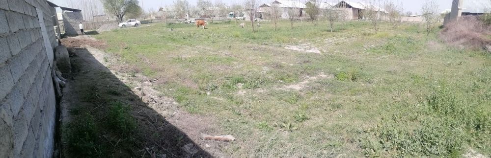 Salom Srochni yer sotiladi sutiyi 1400$