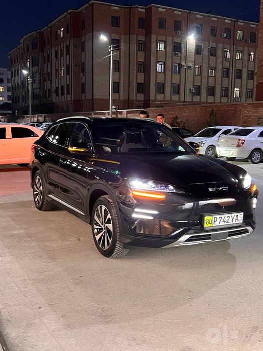 BYD CHempion на заказ 50$