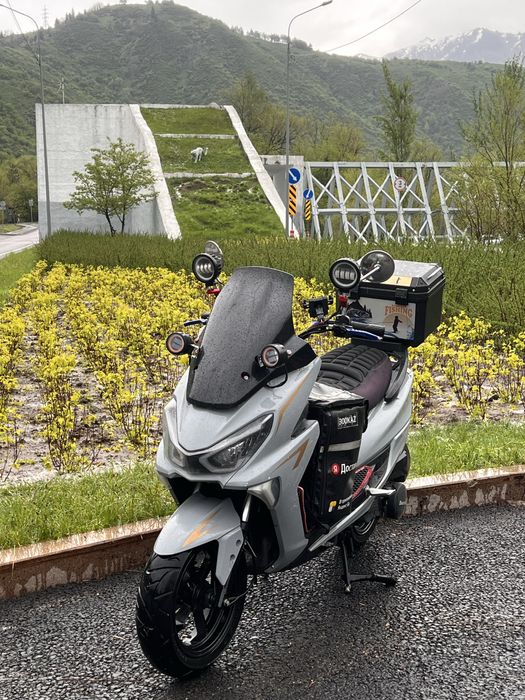 Мапед мапед бенали бенали