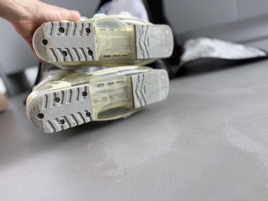 Clapari dama Salomon mar 38