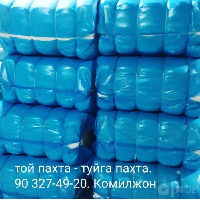 Той пахталар заводники