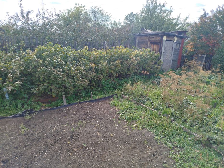 Продам дачу на оптемист