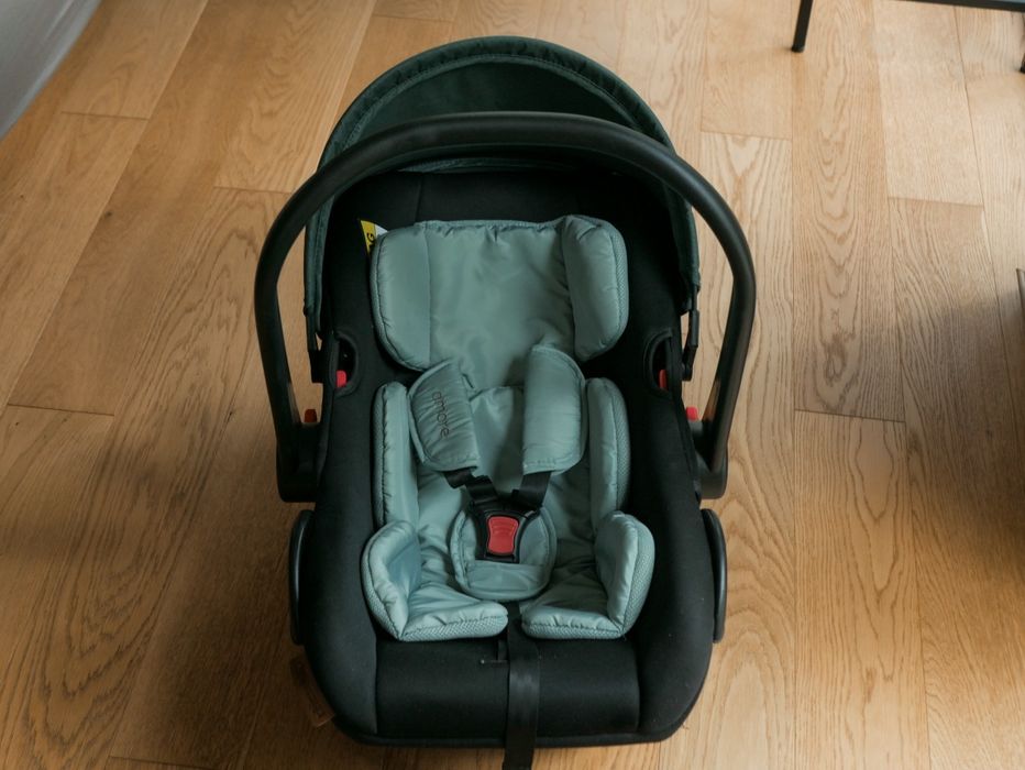 Кошница за кола Chipolino Amore 40-87 cm