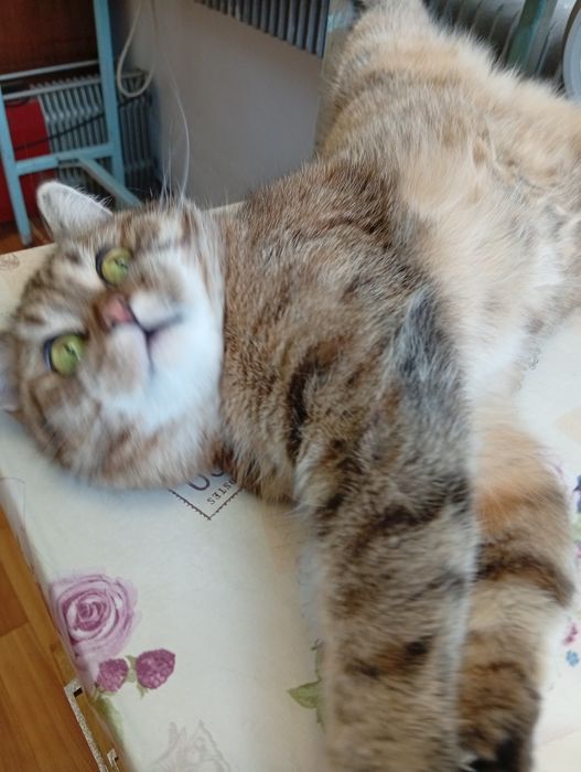 В самые ответственные руки!!