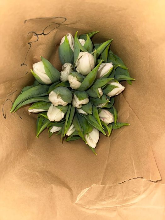 Тюльпаны собираю заказы Алматы!!