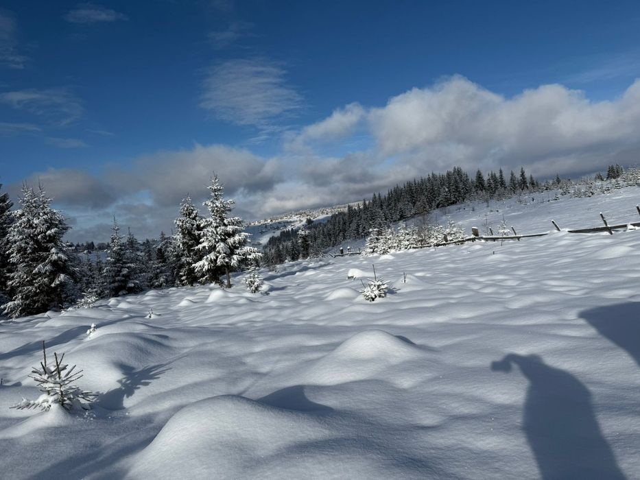 teren la munte 1000mp