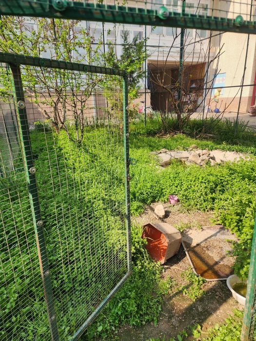 Qushlar uchun kotta Qafas sotiladi, продаётся клетка для птиц.