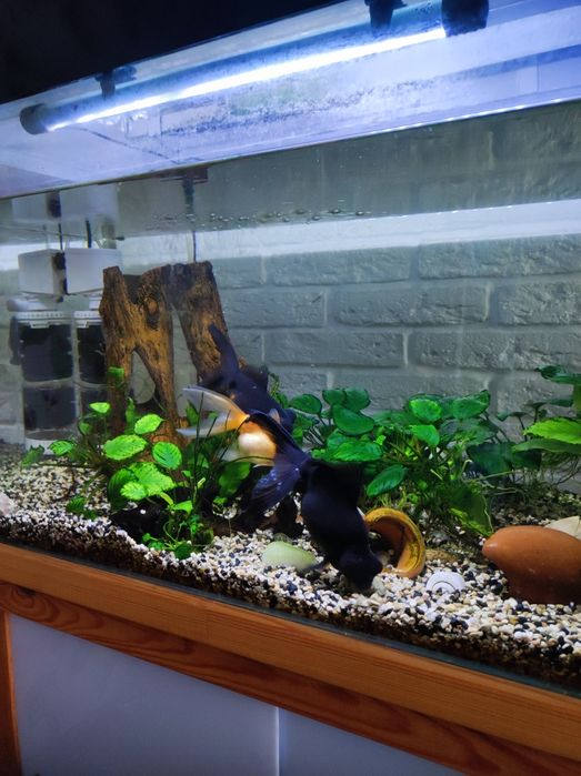 Продам аквариум 100 л