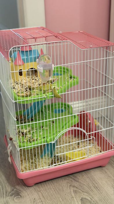 Срочно продам два Хомяка и клетку