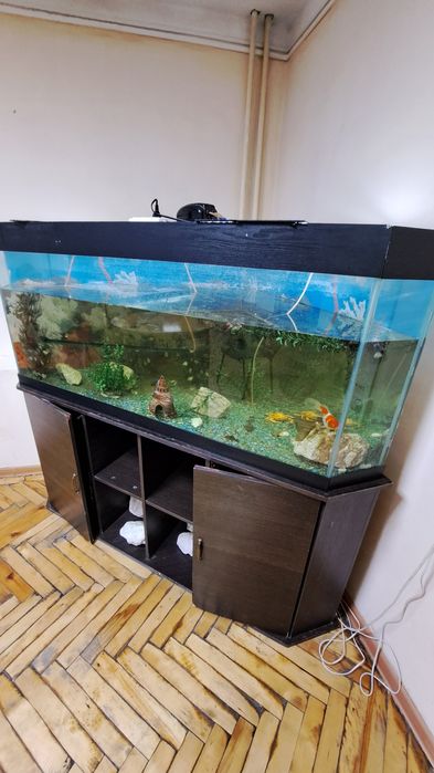 Аквариум угловой 250 литров.