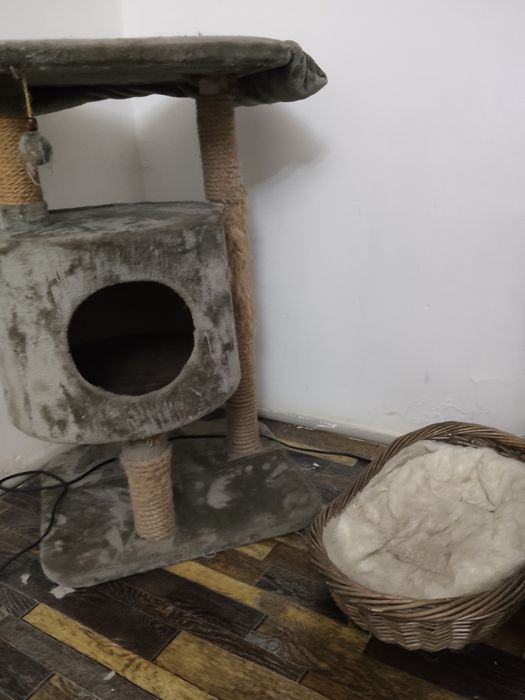 Кошкин дом в отличном состоянии