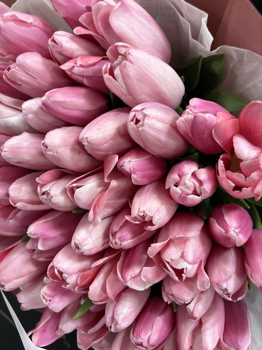 Тюльпан 25000 тенге