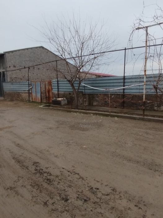 Nazarbek Damachi yer sotiladi 8 sotix