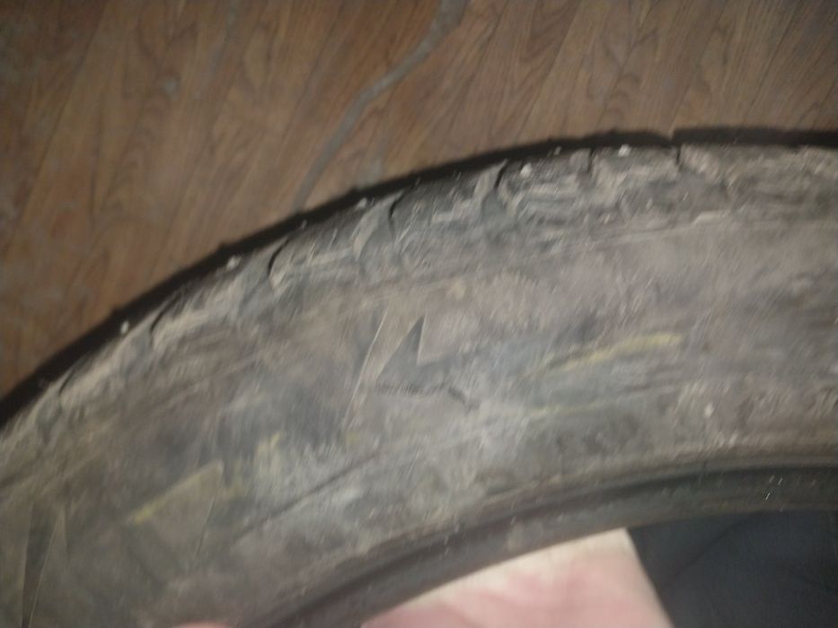 шина r21. шипованная