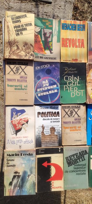 Cărți, salvați literatura