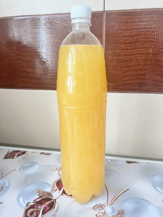 Продам гусиный жир