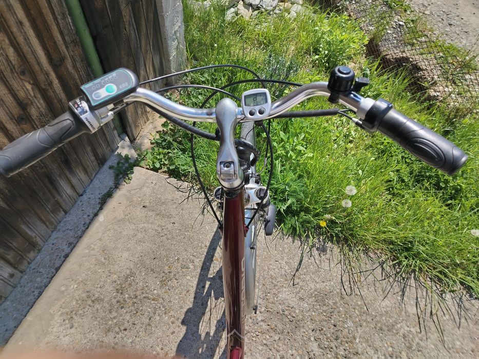 Bicicleta electrica