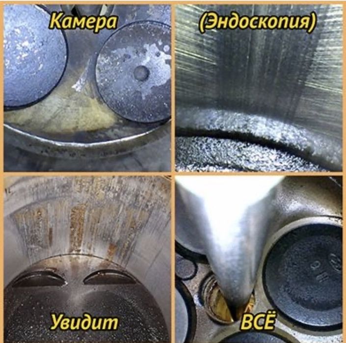 Услуги Эндоскопа