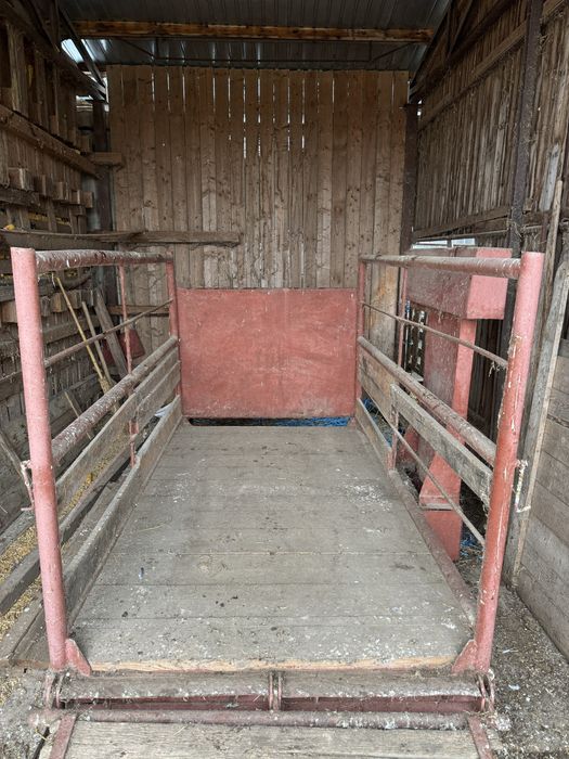 Cântar pentru animale