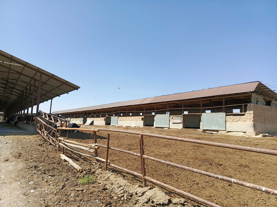 Ферма 3.5 Га город Каттакурган цена 450 000 уе торг есть