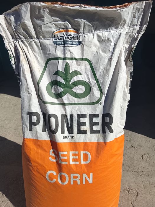 Пионер жүгері ұрық 2қап бар