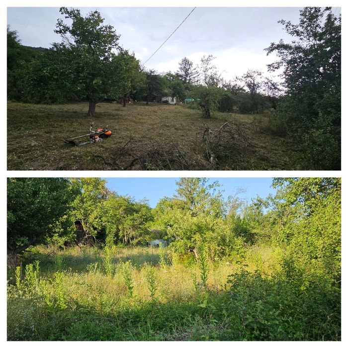 Градинарски услуги с професионална техника!