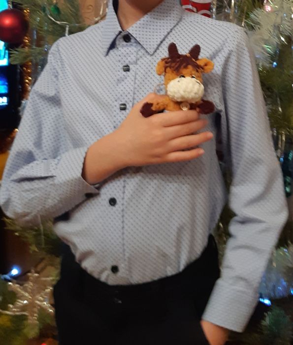 Рубашка на мальчика 9 лет