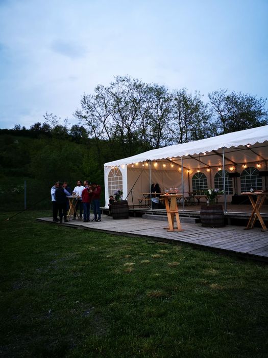 Mese cocktail petreceri