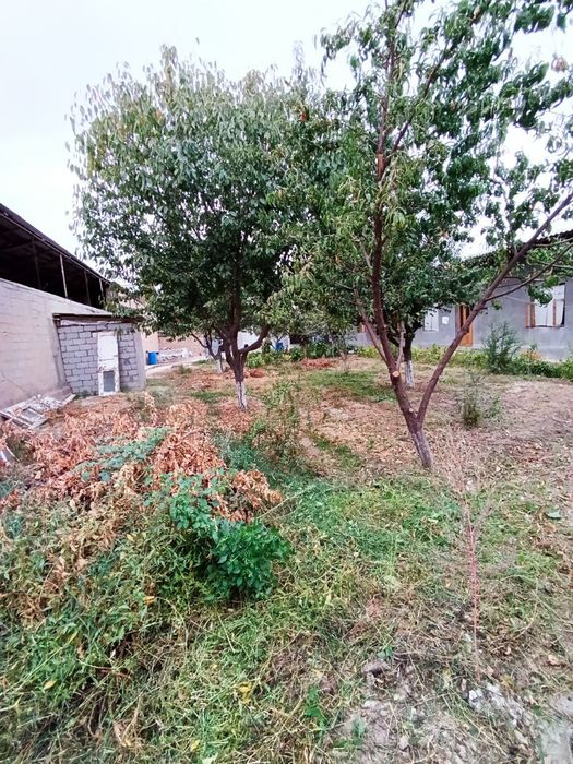 Hovli sotiladi 5 sotix Срочно Продаётся участок