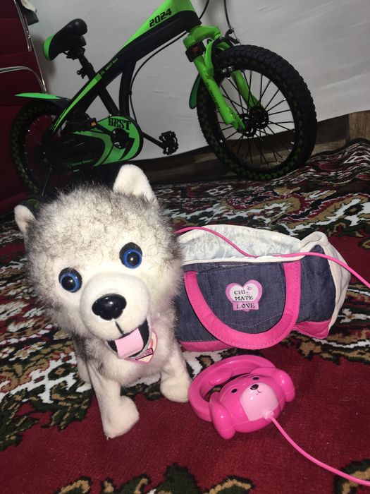 Собачка с пультом,ходит и поет