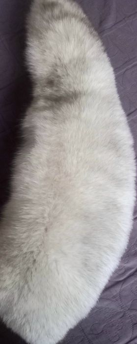 Guler de vulpe argintie lung de 1,31m