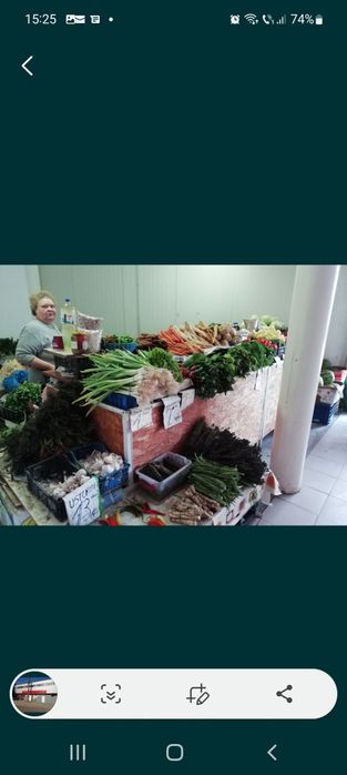 Spatiul comercial/prestari servicii