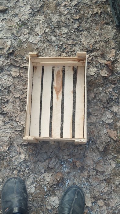 Pamidor yashila har xil razmerla bor