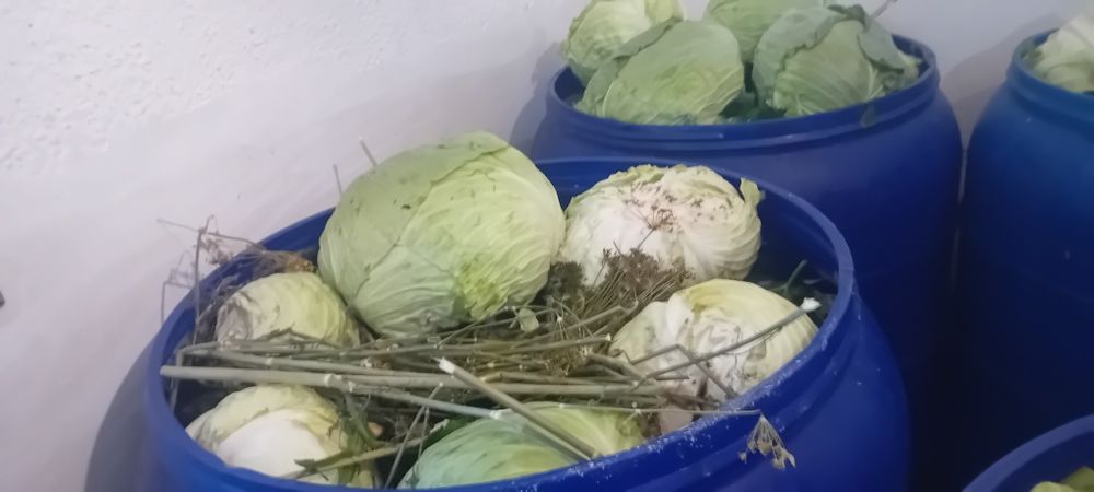 Vănd murături gustoase